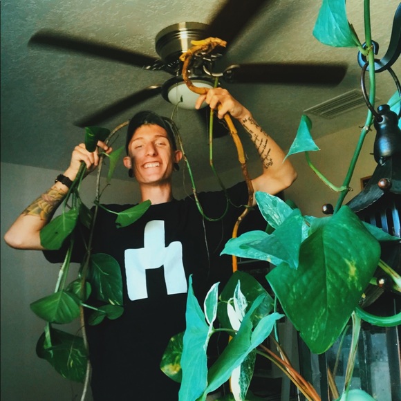 brianallhiser